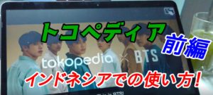 トコペディア　使い方