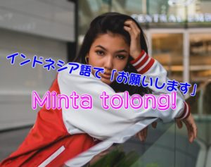 Minta tolong インドネシア語　Yarunesian お願い