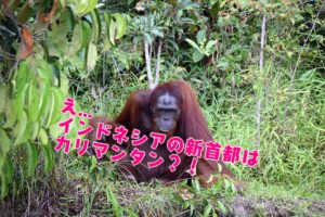 インドネシア　首都移転　カリマンタン　ジャカルタ
