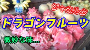 ドラゴンフルーツ　ジャカルタ